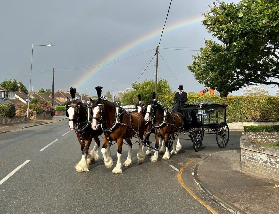 Pair of Shire horses in funeral harness